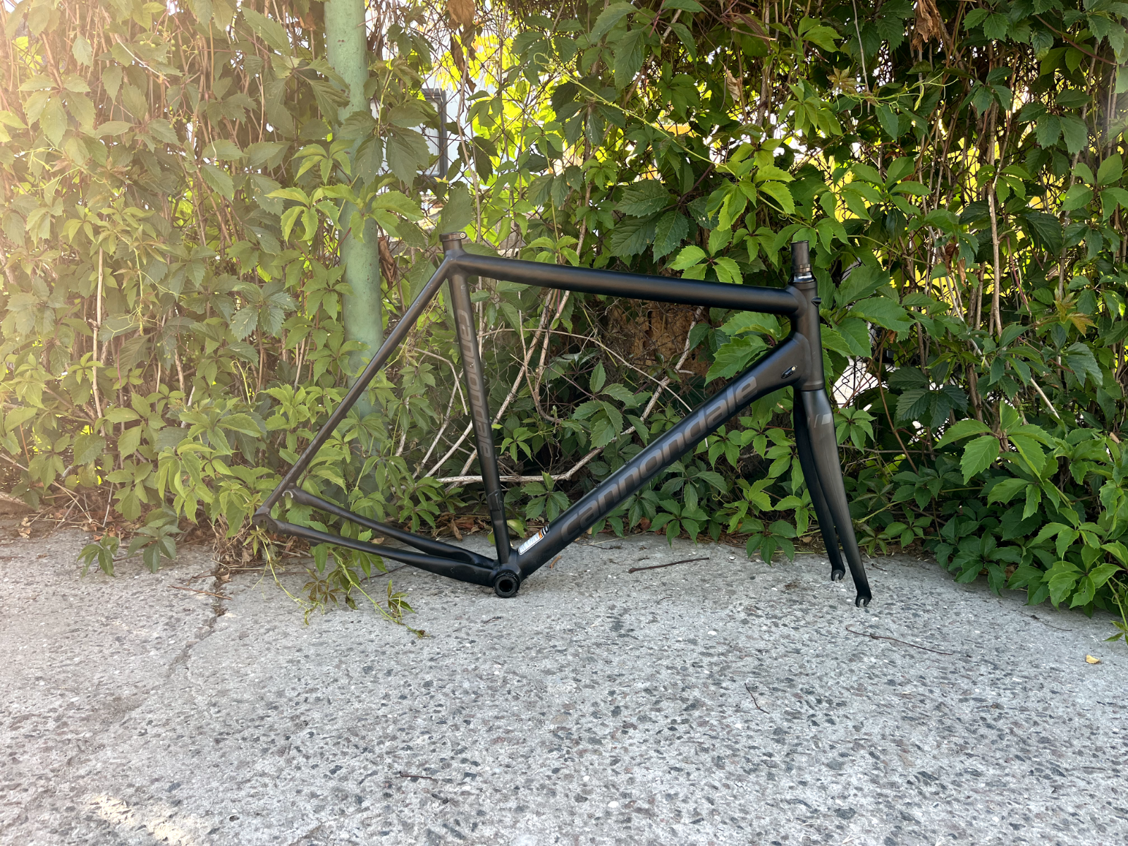 パーツ cannondale caad10 disc 56 frame set 56cm Cannondale CAAD10 Alloy Rim Brake Road Frameset CAAD 10