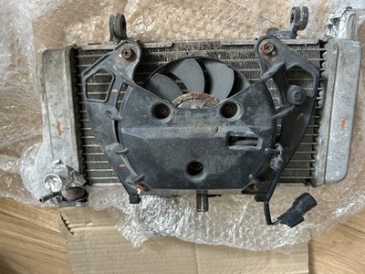 Foto dell'oggetto di un acquirente verificato