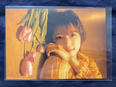 Uchida Maya Bromide