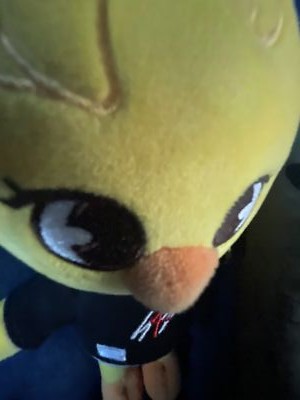 SKZOO ORIGINAL PLUSH ぬいぐるみ BbokAri ボカリ Stray Kids SKZOO Official Stuffed Toy Felix Plush BbokAri
