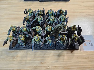 Conquest - Dweghom Hold Thanes Painted