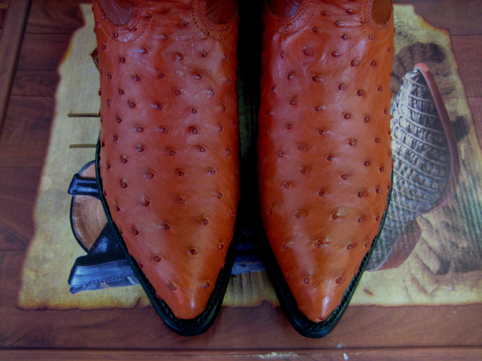 Pre-owned Los Altos Boots Los Altos Cognac Genuine Full Quill Ostrich J-toe Western Boot (ee+) 990303 In Brown