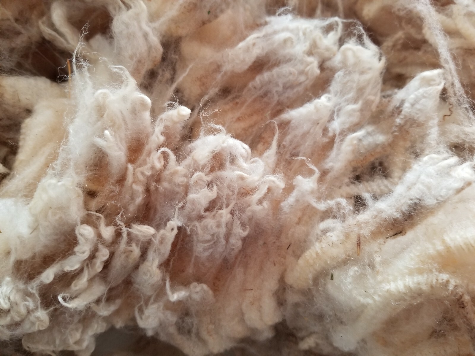 Lincoln white fleece 4 lbs 10 oz staple 4 in. Soft and fluffy vm moderate.