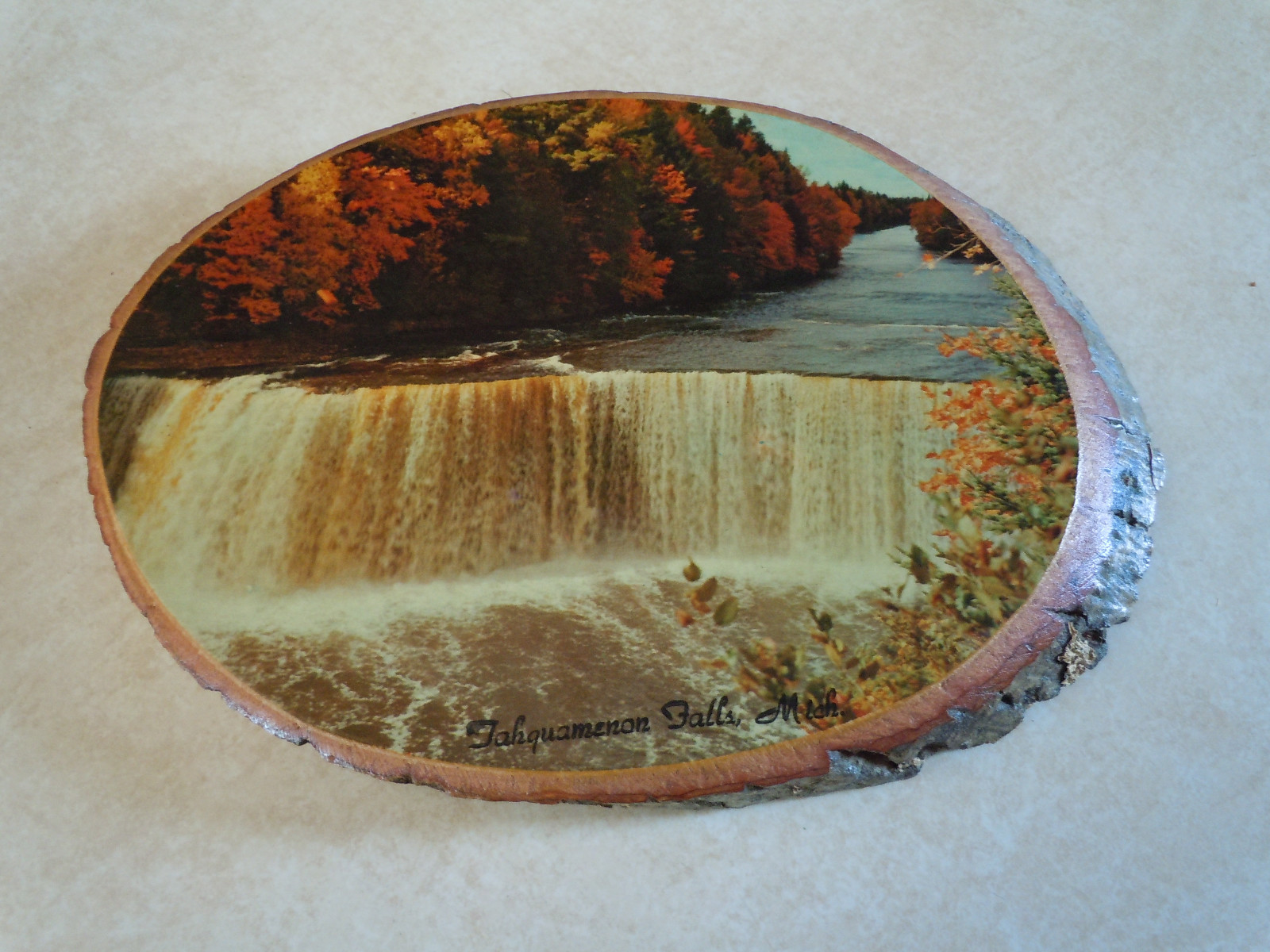 Vintage Wooden Photo Wall Hanging of Lower Tahquamenon Falls Michigan.  1950's