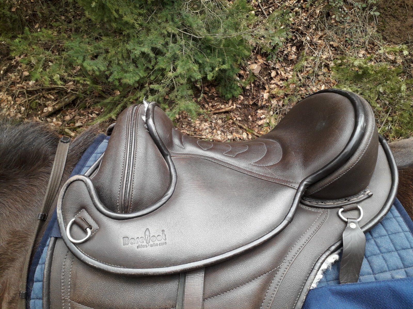 Barefoot Cheyenne Leder, VPS, Gr. 1