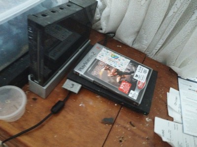 Item photo(s) from verified buyer