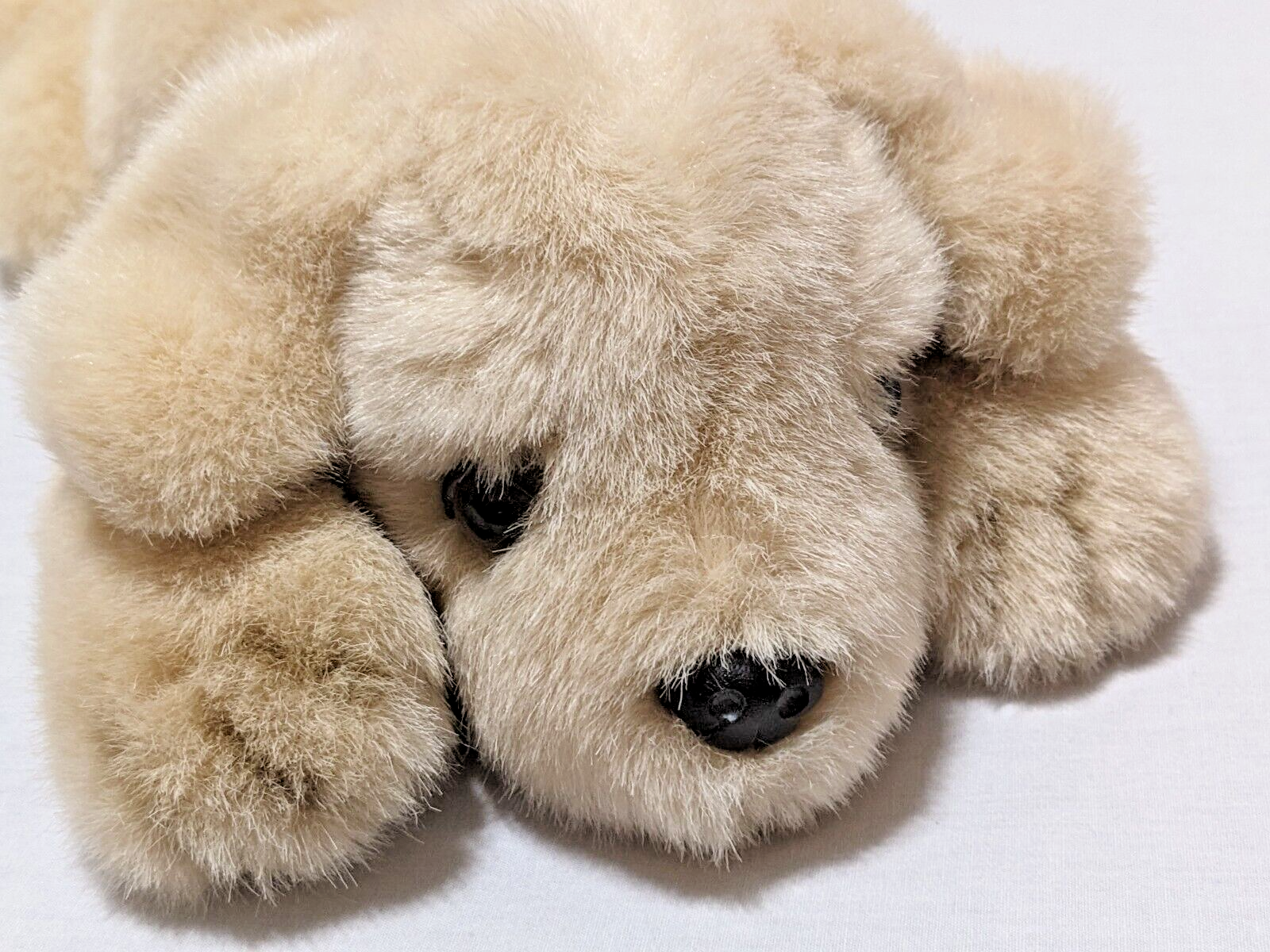 $_57.PNG?set_id=880000500F