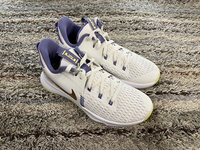 Nike LeBron Witness 5 Summit White Metallic Bronze 2021 Mens Size 12 Lakers