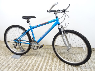 Raleigh Stonefly Boys Unisex Hybrid Mountain Bike 14.5" Sml LowUsed Serviced VGC