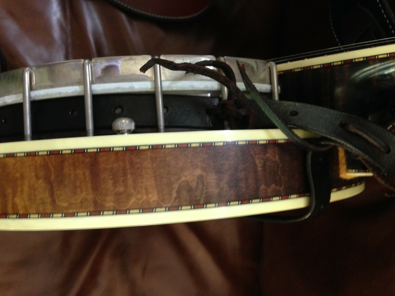 Stelling Golden Cross Banjo (1999) with OHSC