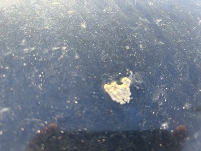 image 10 of exterior