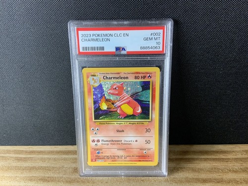 HUNTERHUNTER PSA10 カメレオンキャット レリーフ版 HUNTERHUNTER PSA10 カメレオンキャット レリーフ版