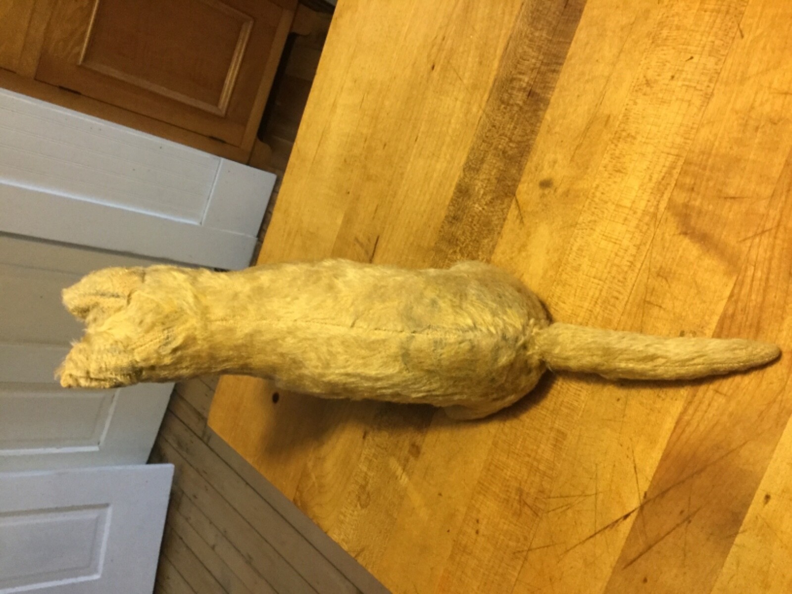 Early 1900’s Antique Steiff Mohair Cat No ID Timeworn Condition