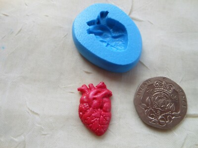 Mini Craft Mould: Mini Detailed Human Heart 14x20mm (Anatomy Halloween) Clay PMC