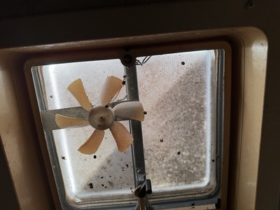 image 9 of interior