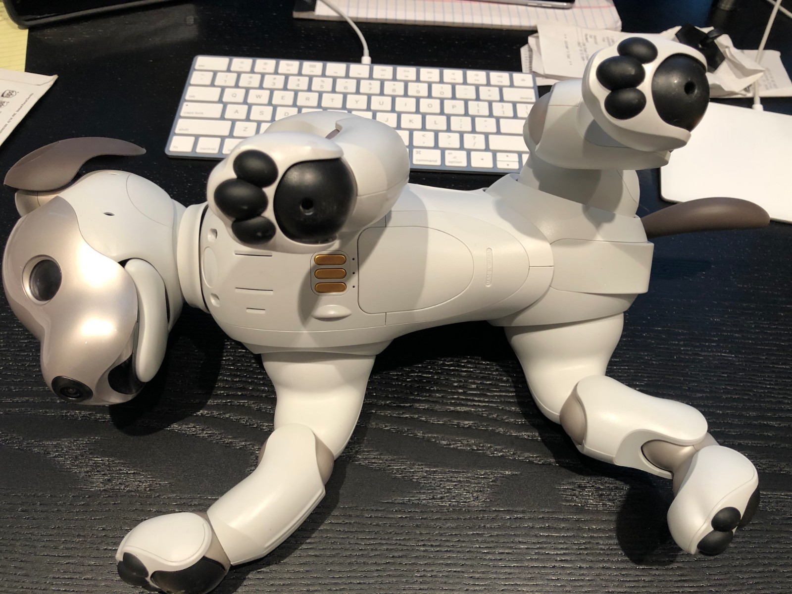 Sony ERS-1000 AIBO Robotic Dog - Japanese Version, Set to English