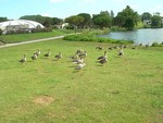 choupettebelle2011