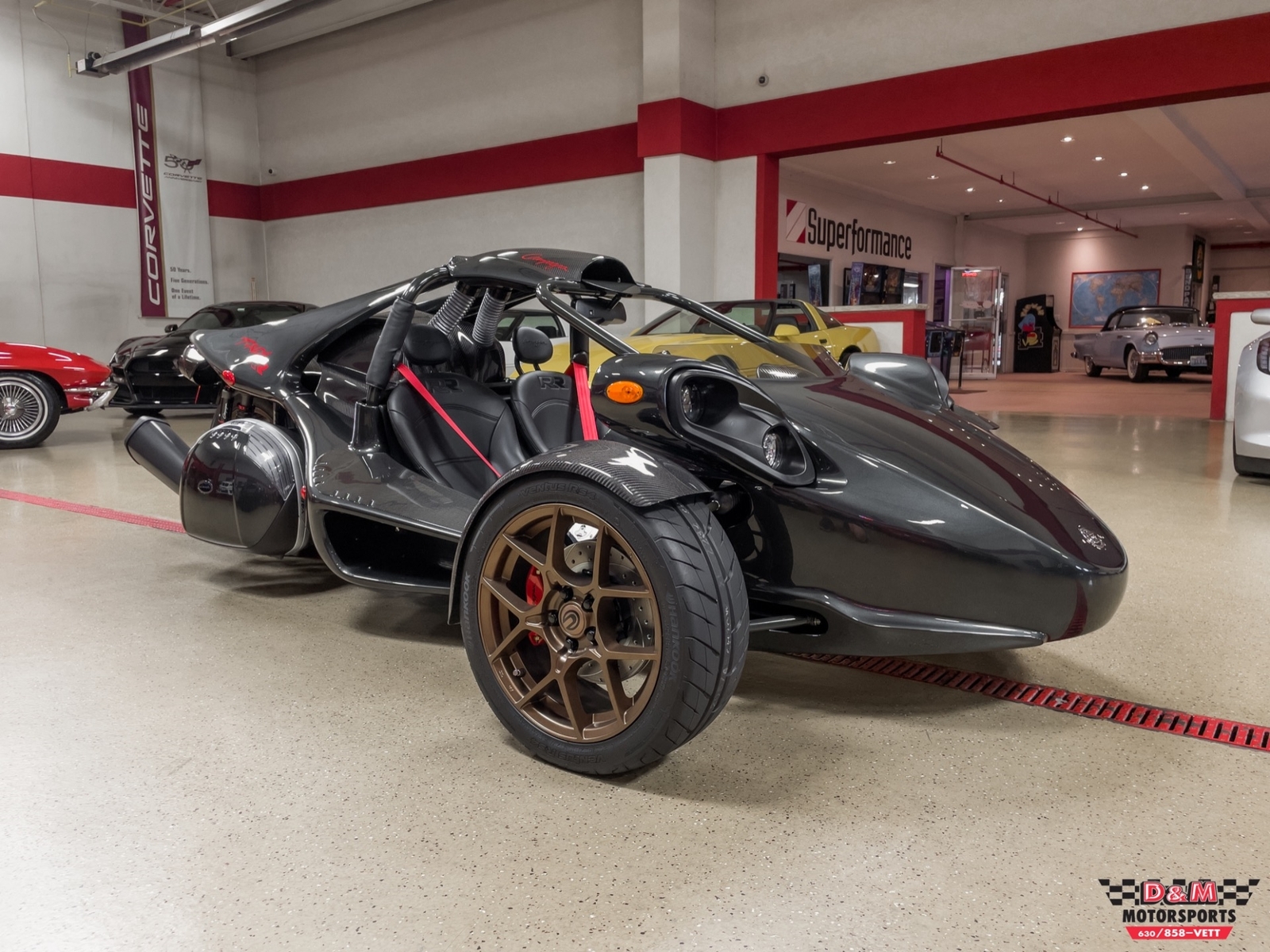 Campagna t Rex 14r