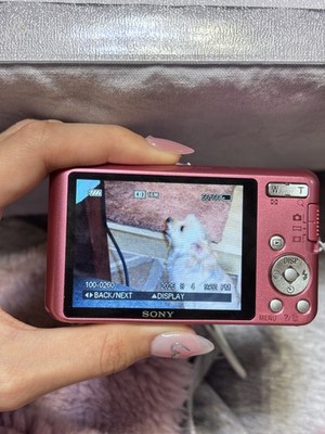 Sony Cyber-shot DSC-W630 16.1 MP Compact Digital Camera Pink