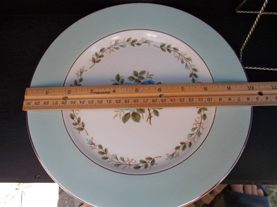 Barratt’s England Delphatic White 10