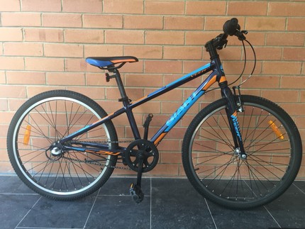 giant veer 24