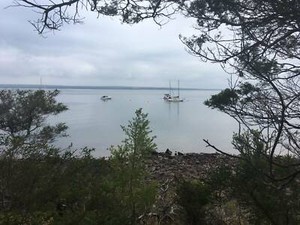 boat mooring - westernport bay, corinella boat