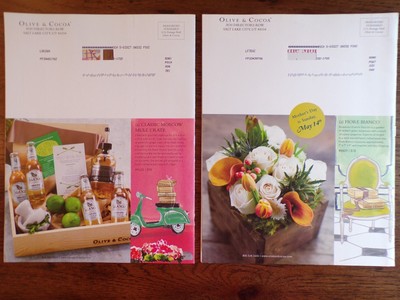 2 OLIVE & COCOA Gift Catalogs Illustrations 2017 Bella Madre & Sharing Summer