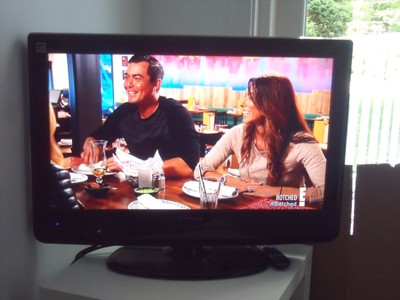 DYNEX TV FLAT SCREEN EXCELLENT WORKING CONDITION  REMOTE CONTROL 2 DAYS ONLY