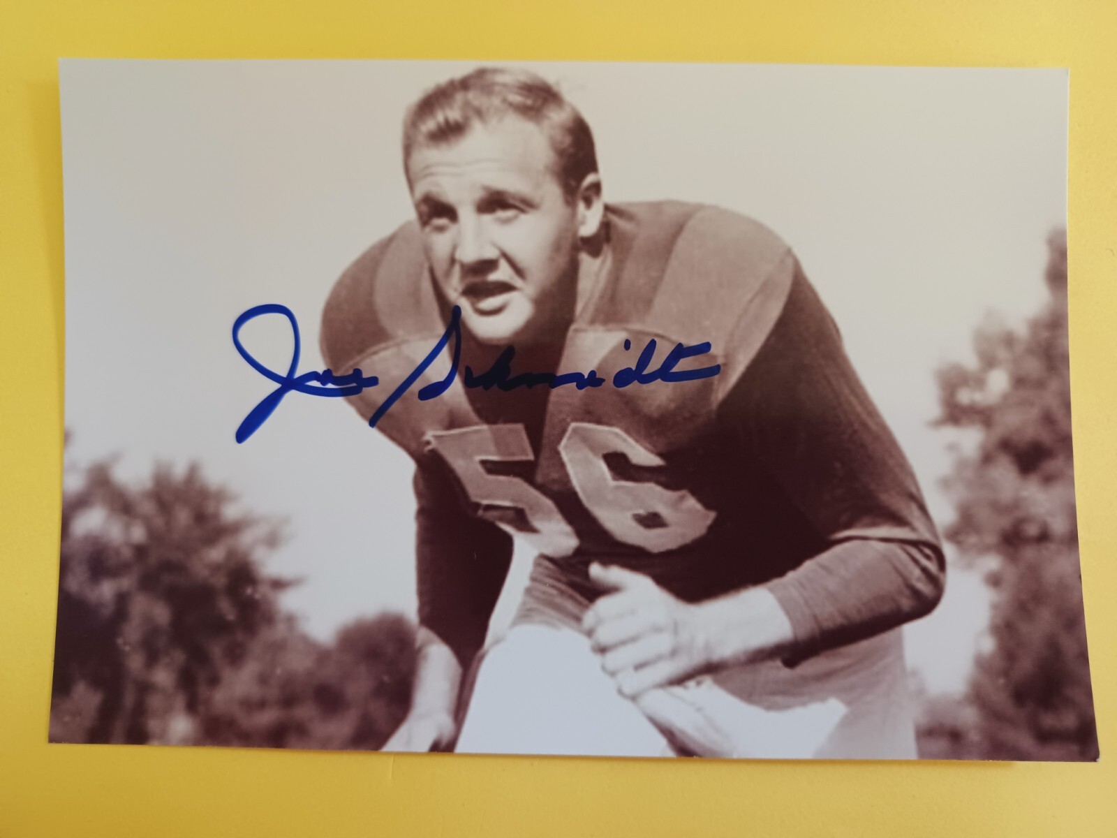 Joe Schmidt Signed 4x6 Photo - Lions, Pittsburgh, HOF | eBay Joe Schmidt Signed 4x6 Photo - Lions, Pittsburgh, HOF | eBay