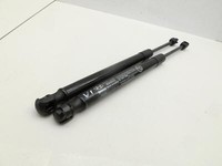 Hyundai Santa Fe IV TM 18-20 Dämpfer Gasfeder für Motorhaube Vorne Hyundai Santa Fe IV TM 18-20 01.01.2019... Vorschau 2