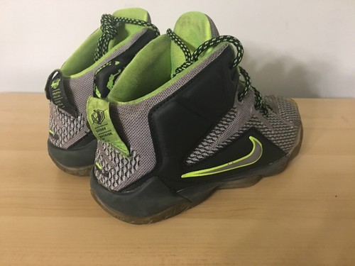 Nike Lebron XII Dunkman 685184-007 Toddler Kids Gray Green Size 13c