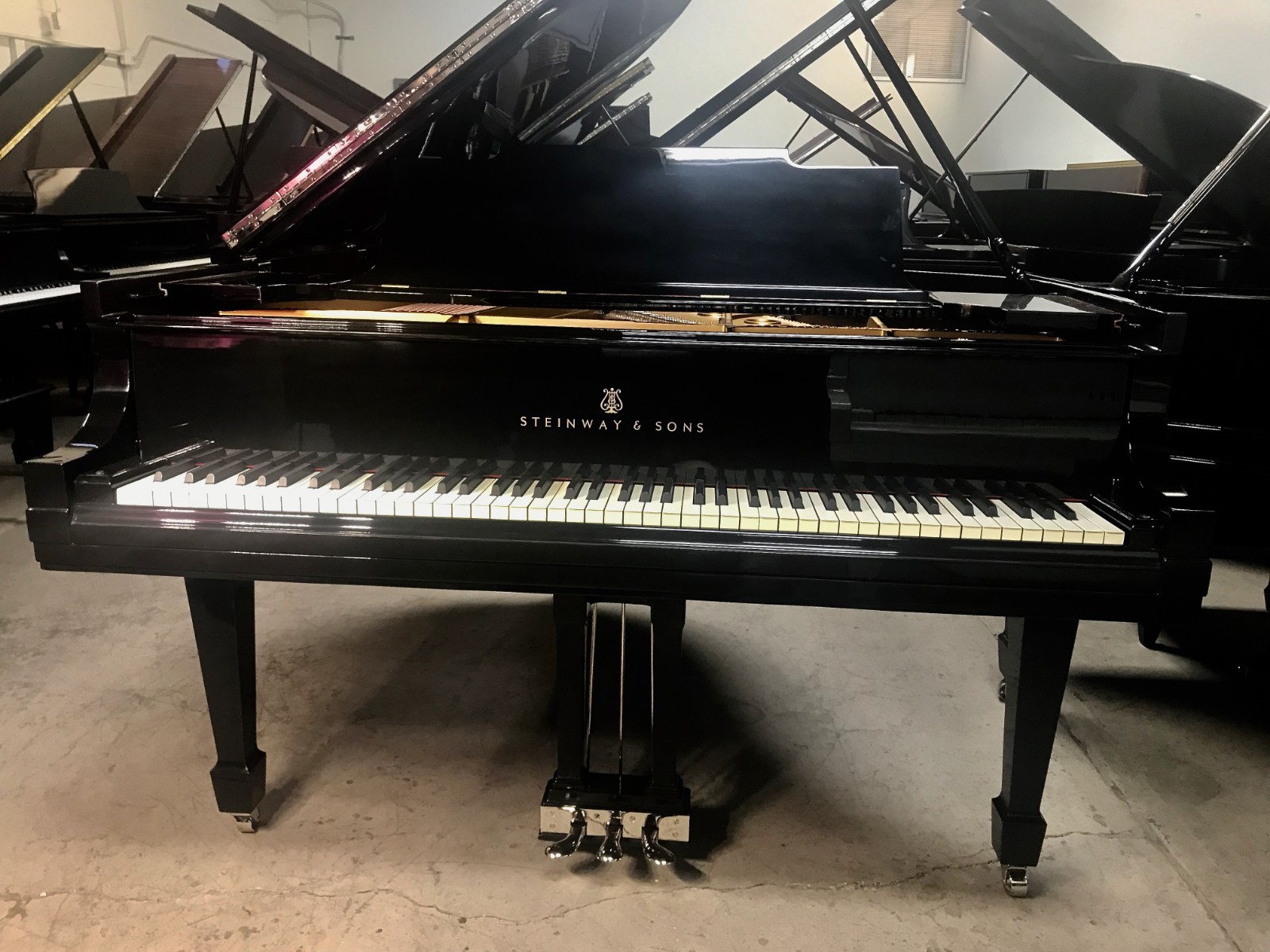 STEINWAY M GRAND PIANO - HIGH GLOSS - VIDEO - FREE SHIPPNG