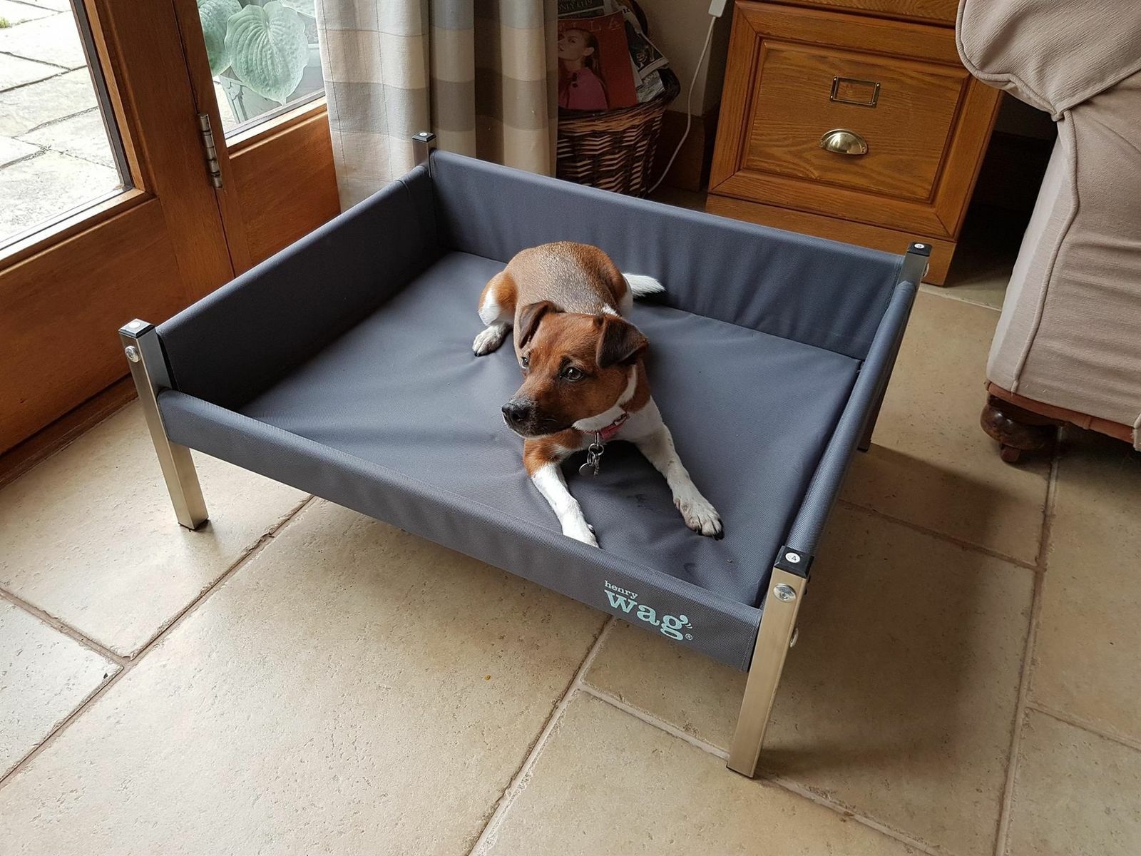 raised dog bed