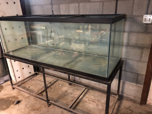 200 Gallon Fish Tank Used