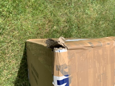 Item photo(s) from verified buyer