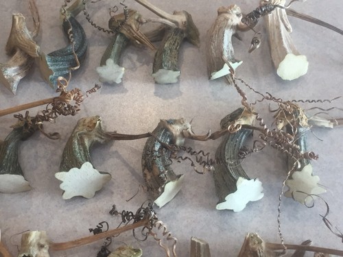 30 Excellent Quality Dried Pumpkin Stems - Crafts, Velvet 1-1/2