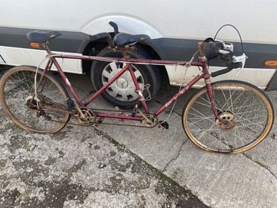 Sun outlet wasp tandem