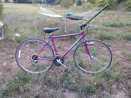 1991 Schwinn Criss Cross bicycle 700c hybrid bike purple