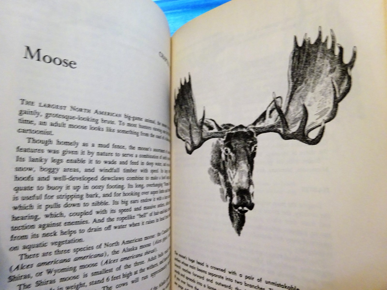 COMPLETE BOOK OF HUNTING BY CLYDE ORMOND - AN OUTDOOR LIFE BOOK - 1962