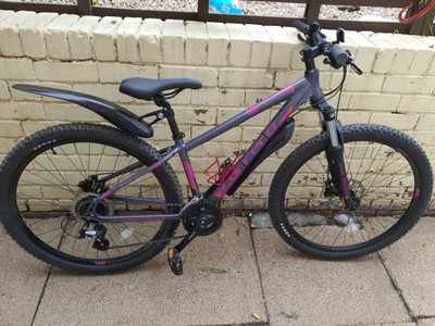 14 inch carrera mountain bike