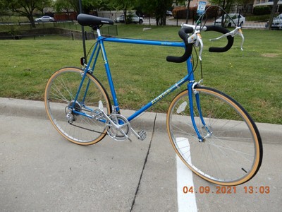 schwinn worldsport