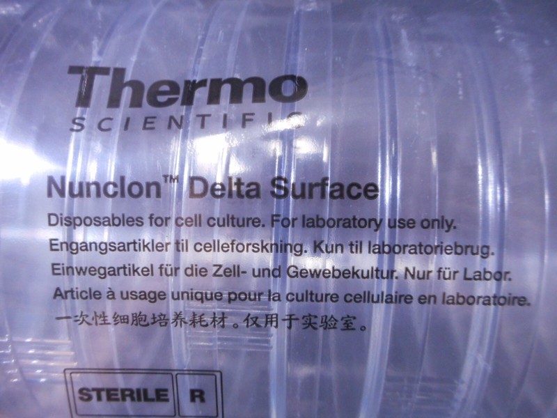 THERMO SCIENTIFIC PS 150x21mm PS Nunclon Delta Surface Petri Dish 168381 (10/pk)