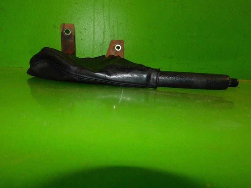 Picture 3