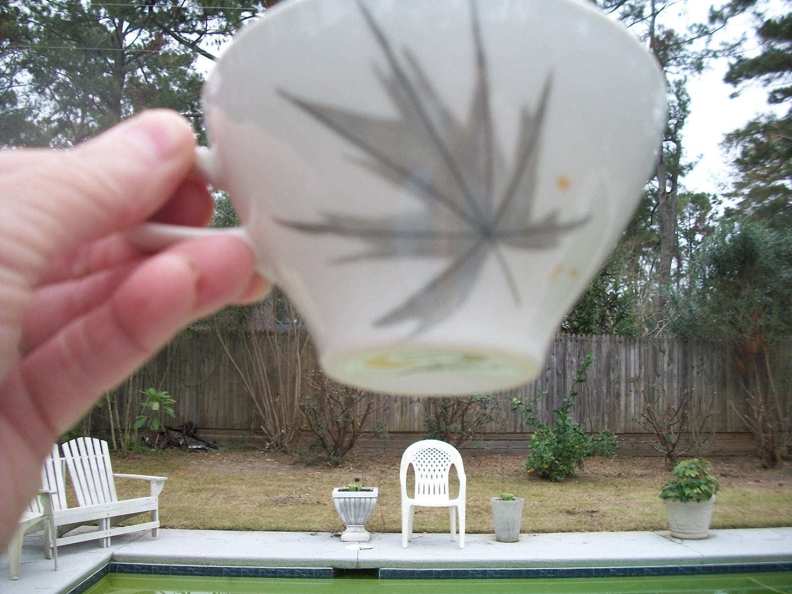 PAIR MID CENTURY INFORMAL IROQUOIS HARVEST TIME CUPS & SAUCERS BEN SEIBEL DESIGN