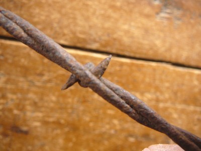 CURTIS HALF ROUND 2-PT on ROUND & FLAT - BARB on ROUND  - ANTIQUE BARBED WIRE