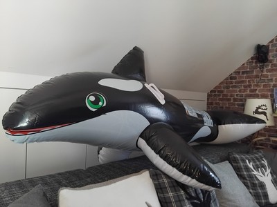 Artikelfoto(s) von einem verifizierten Käufer