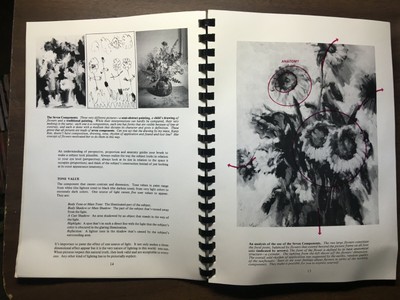 Vintage PAINTING FLOWERS THE VAN WYK WAY by Helen Van Wyk 1985