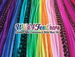 e_wild4feathers