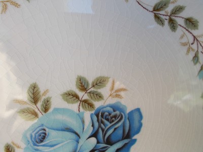 Barratt’s England Delphatic White 10