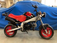 1988 Honda ZB-50 PJ MONKEY BIKE (CLASSIC MOTORCYCLE) SUPER RARE COLLECTORS EDT